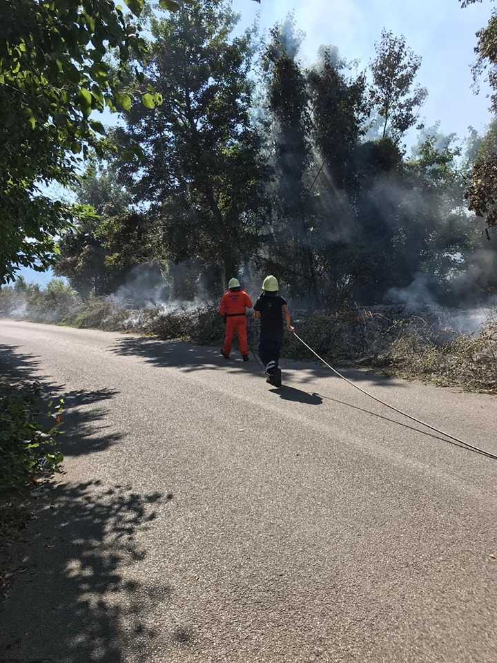Distruzione patrimonio boschivo: incendio nella frazione di Croce sventato dalla Protezione Civile